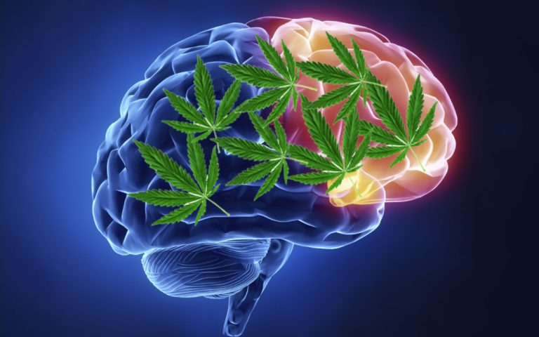 марихуана на мозга