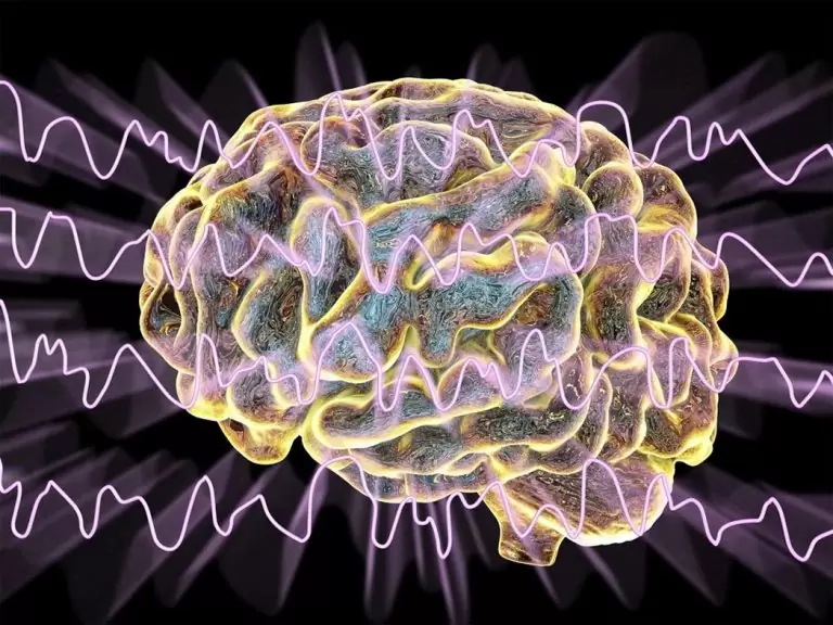 Спонтанные «микро-землетрясения» в мозге помогают вам спать