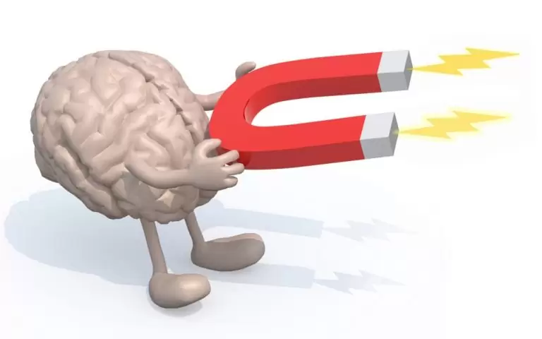 Магнит мозг