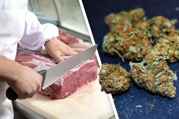 Мясо на основе конопли содержит больше белка, чем говядина