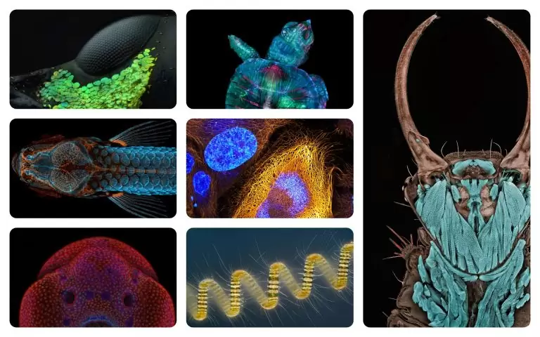 микрофотографии