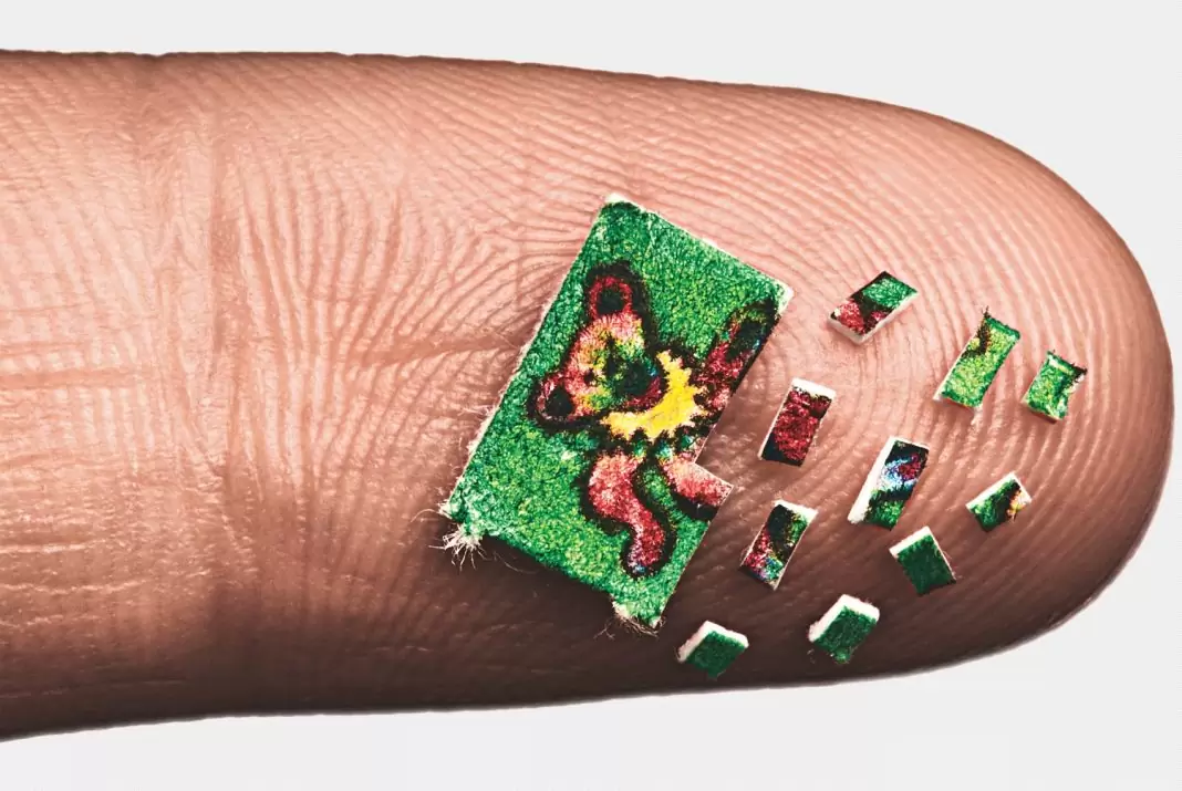 Согласно исследованию, микродозинг ЛСД может повысить фактор роста мозга