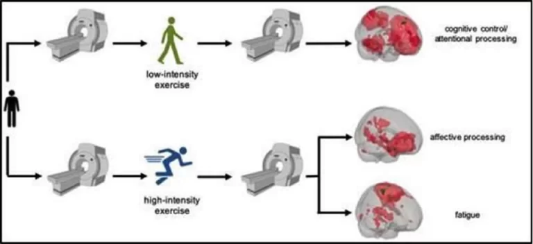 упражнения мозг