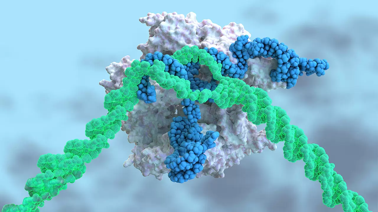 CRISPR, введенный в кровь, впервые лечит генетическое заболевание