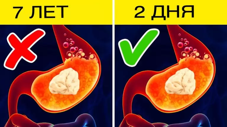проглотил жвачку