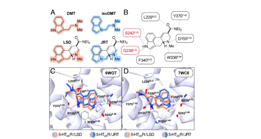 Ученые синтезировали аналог ЛСД, не вызывающий галлюцинаций. Вещество, возможно, будут использовать для лечения шизофрении