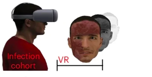 Взгляд на виртуального больного активирует иммунитет, подобно вакцине